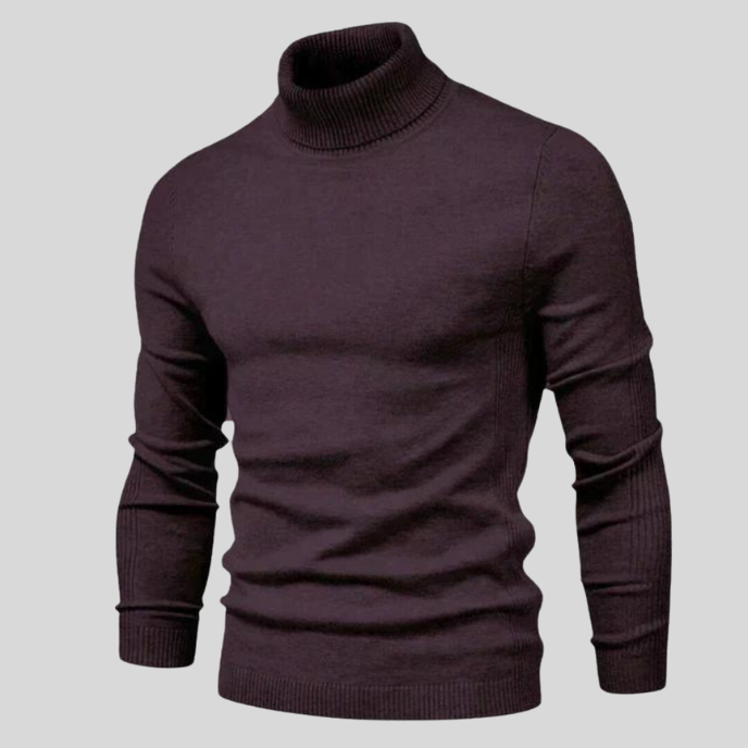 Stanley | Stylish turtleneck sweater